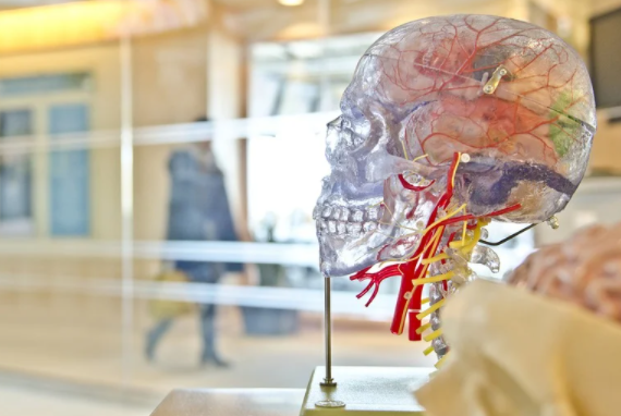 Helpful Tips to Improve Your Brain Power and Health